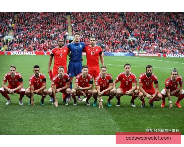 世界杯竞猜赔率最新解析及热门赛事胜负趋势全面预测